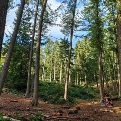 la nature à l'auberge de jeunesse