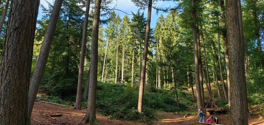 Naturen på vandrerhjemmet