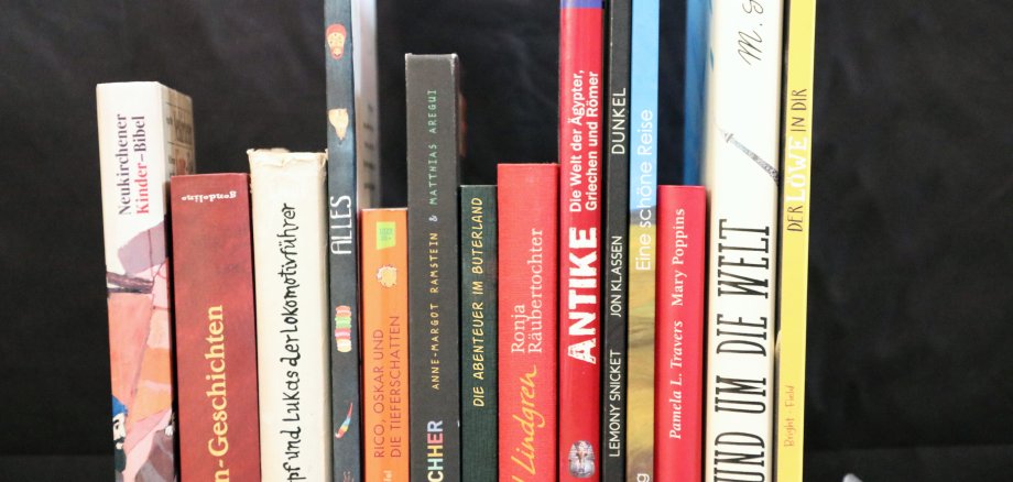 Разные книги расположены рядом друг с другом.