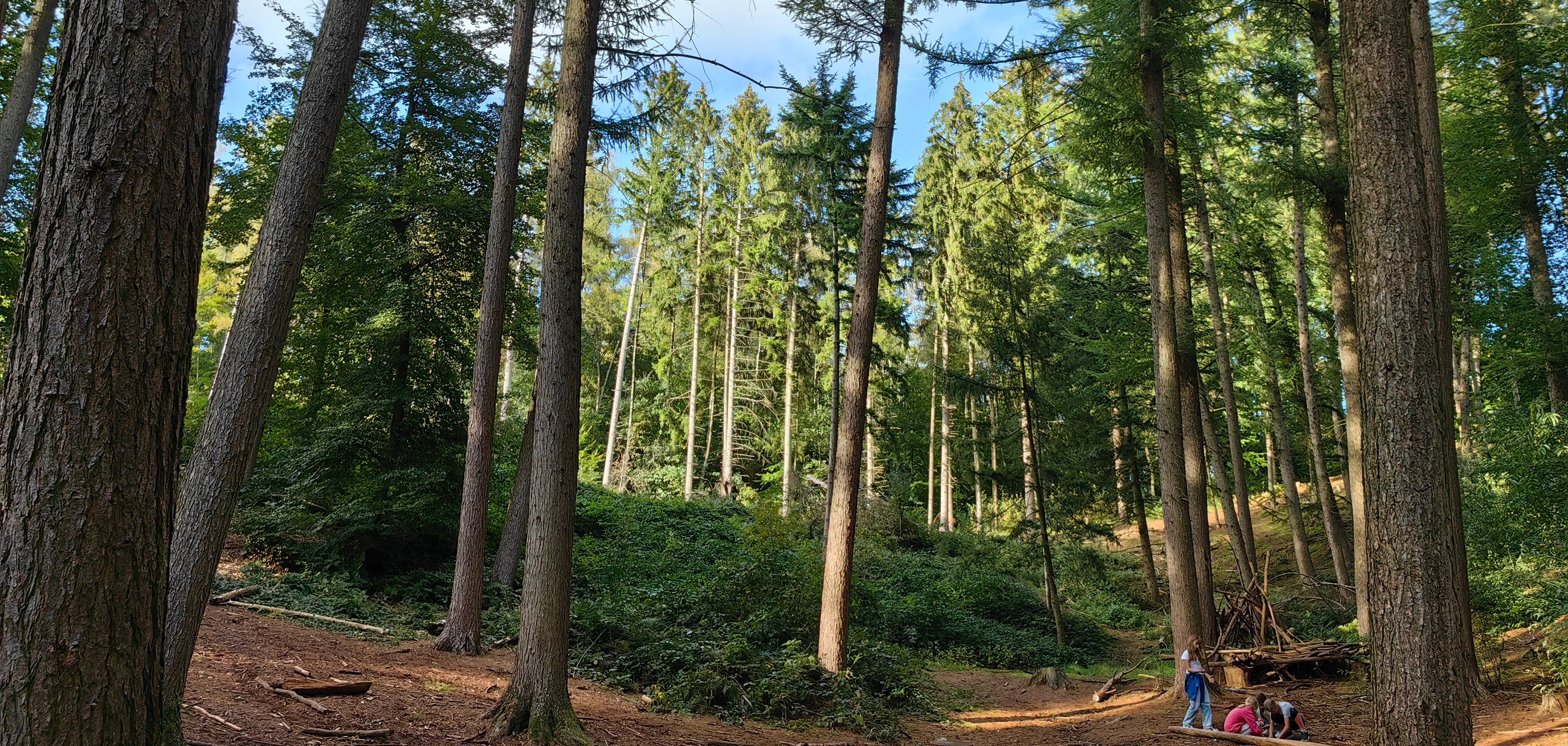 Naturen på vandrarhemmet